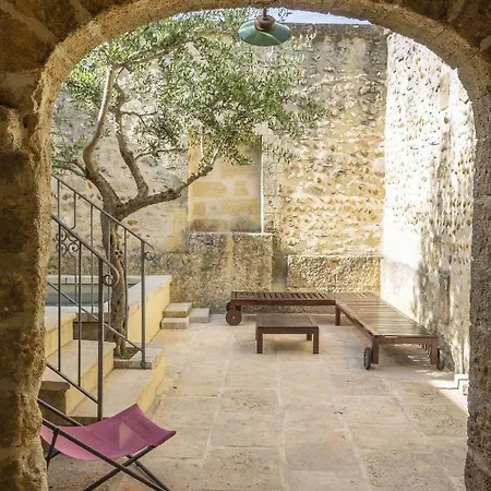 La Petite Baronne Holiday home Saint-Hilaire-d'Ozilhan