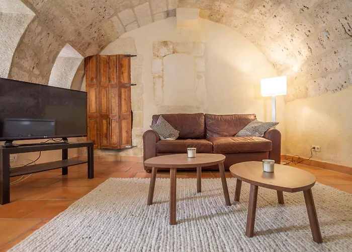 La Petite Baronne Holiday home Saint-Hilaire-d'Ozilhan